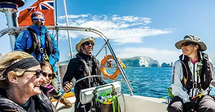 sailing by needles