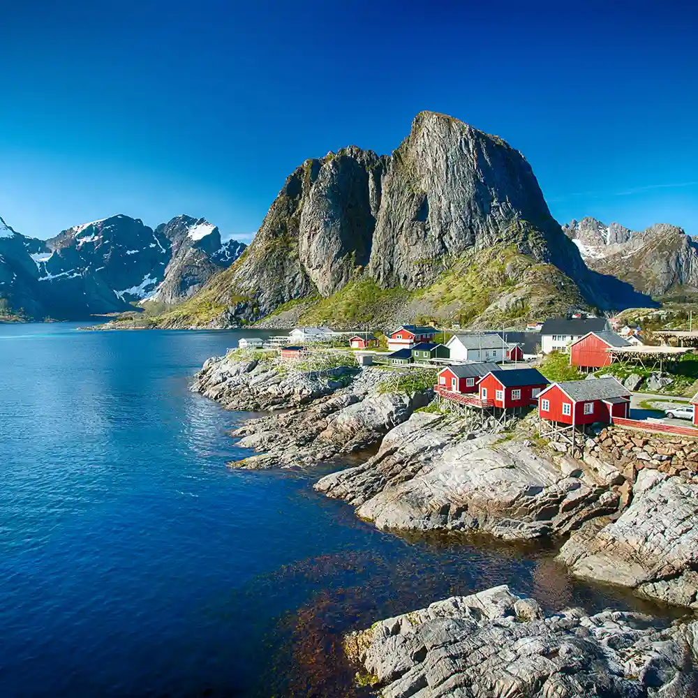 Reine