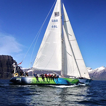 Hummingbird sailing off Iceland