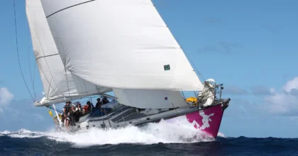 Yacht starling