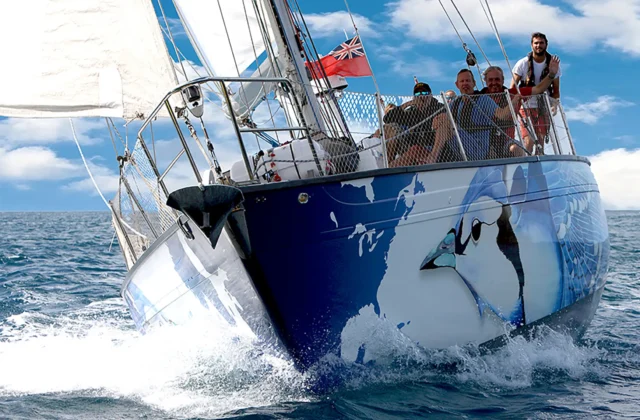 velero bluejay