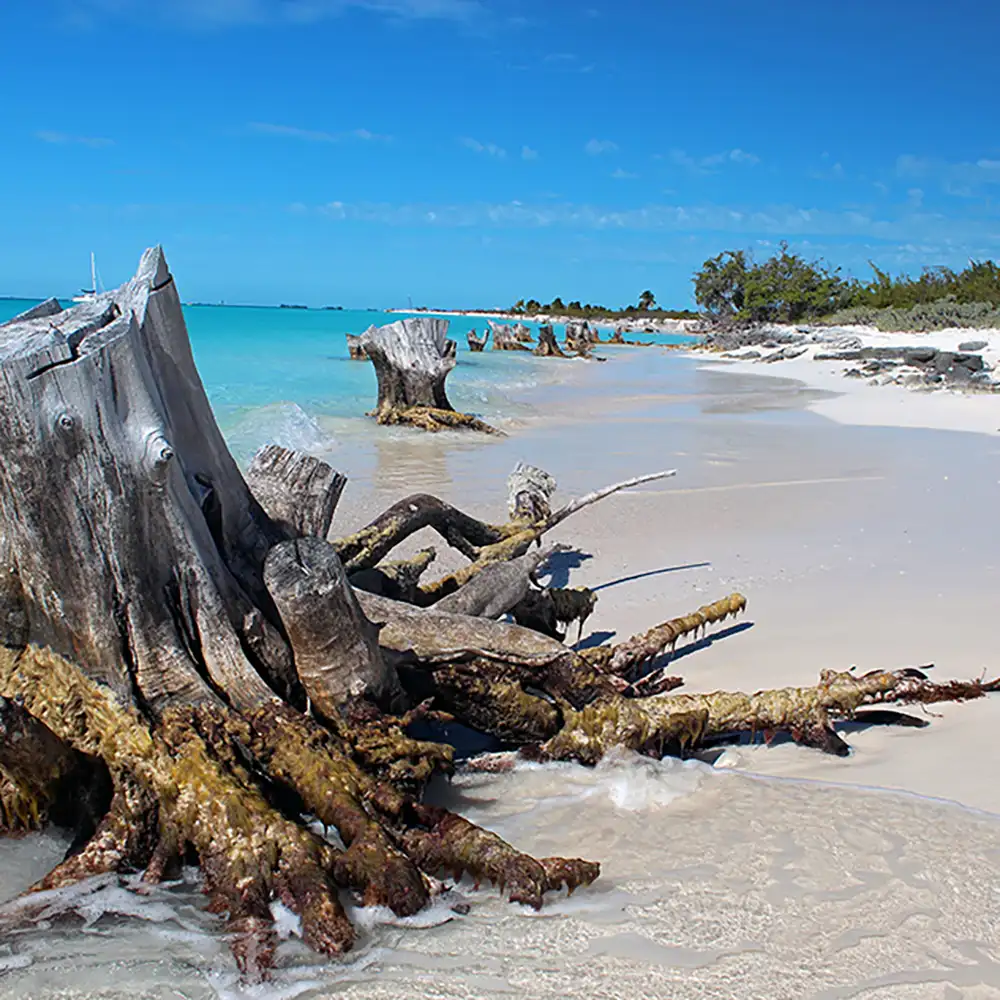 cayo largo