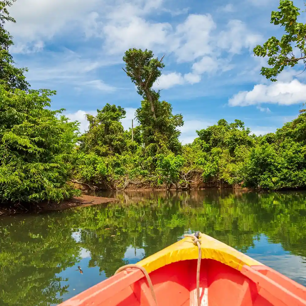 Indian River Dominica