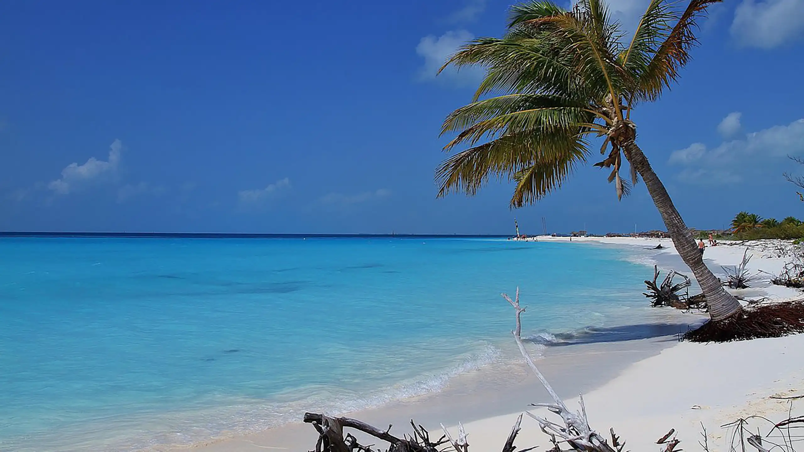 Sailing adventure from Jamaica to Cuba