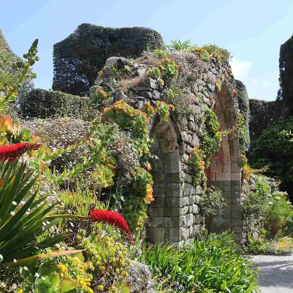 Tresco gardens