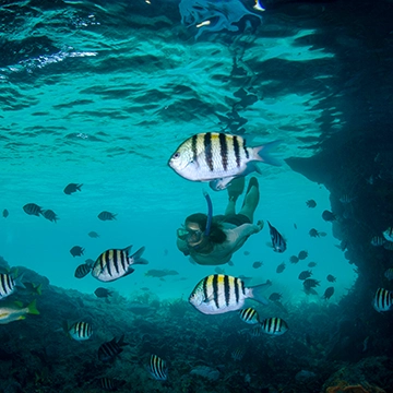 snorkelling bahamas